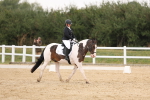 SBM_01498