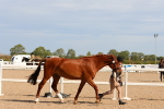 SBM_17876