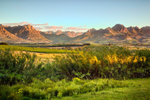Evening Vineyards  Mountains