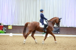 SBM_006031