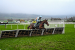 151125-Race 6-Royal Rambler-4109