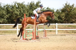 SBM_000451