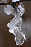 Snow Into Ice