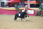 SBM_16601