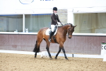 SBM_006953