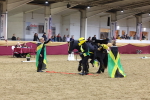 SBM_10193