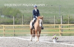 MY QUEST NOVICE 2 portfolio