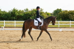 SBM_006881