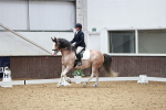 SBM_014231