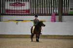 Class 14 Novice Ridden/Rider portfolio