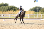SBM_007549