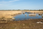 20110409-IMG_1512