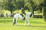 SBM_59299