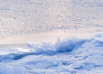 ICE IN LATE LIGHT - PORT RYERSE
