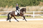 SBM_012401