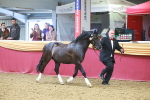 SBM_16613
