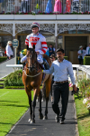 120725-Race 7-Aberama Gold-0642