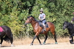 WJ6_7932