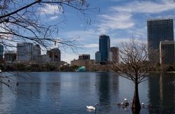 LandCity scapes 039