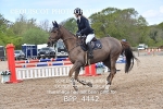 BPP_4442