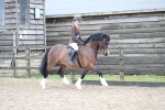 SBM_006464
