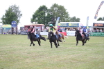 SBM_09958
