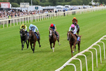 250726-Race 3-Item-0801