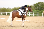 SBM_007348