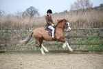 SBM_006113