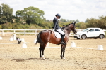 SBM_009393