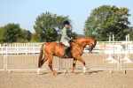 SBM_02181