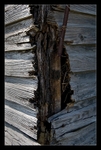 Rotted Corner