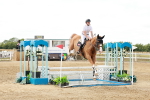 SBM_018785