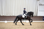 SBM_003184