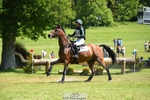303-JESMOND_RENARD-Susie_Berry-XC portfolio