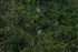 Trimingham Bee Eaters by Sharon Fairweather