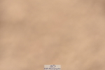 230810A-162358-01524