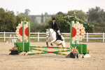 SBM_000213