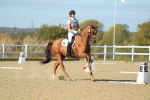 SBM_002211