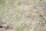 SBM_10023