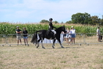 WJ6_8216