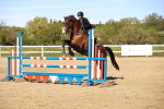 SBM_003396