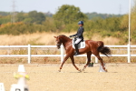 SBM_018328