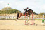 SBM_001979