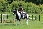 3E7A8816