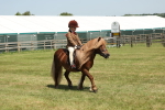 SBM_05345