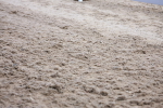SBM_001453