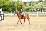 SBM_006542