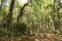 PARQUE NACIONAL TIERRA DEL FUEGO