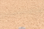230811A-124512-04938